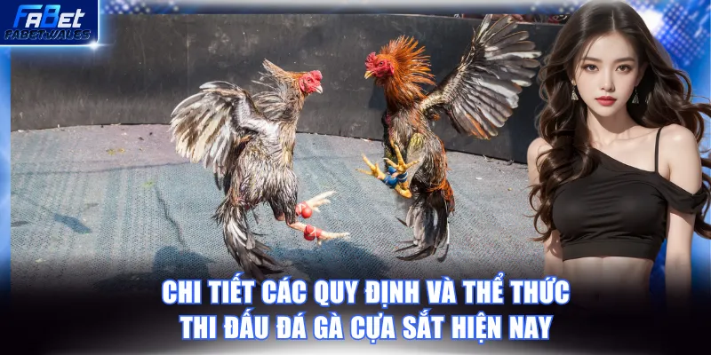 Chi tiết quy định về luật chơi chọi gà cựa sắt cần nắm