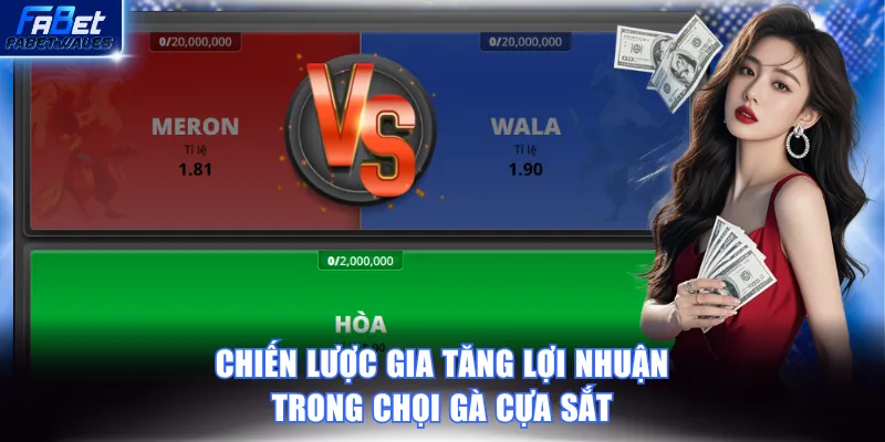 Các chiến lược hay tối ưu lợi nhuận khi đặt cược chọi gà