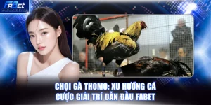 Chọi gà Thomo